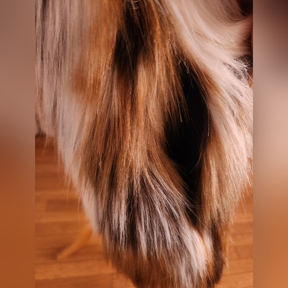 Zara Trafaluc Faux Fur Vest - Picture 4 of 4